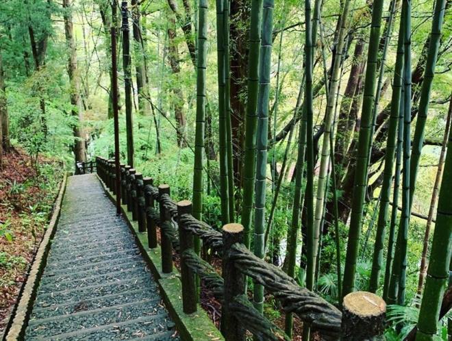 Iya Kankou Ryokan Миёси Экстерьер фото
