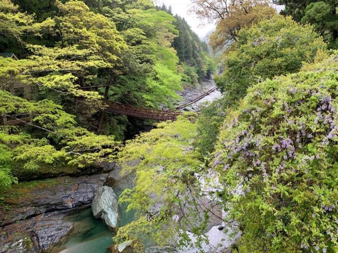 Iya Kankou Ryokan Миёси Экстерьер фото
