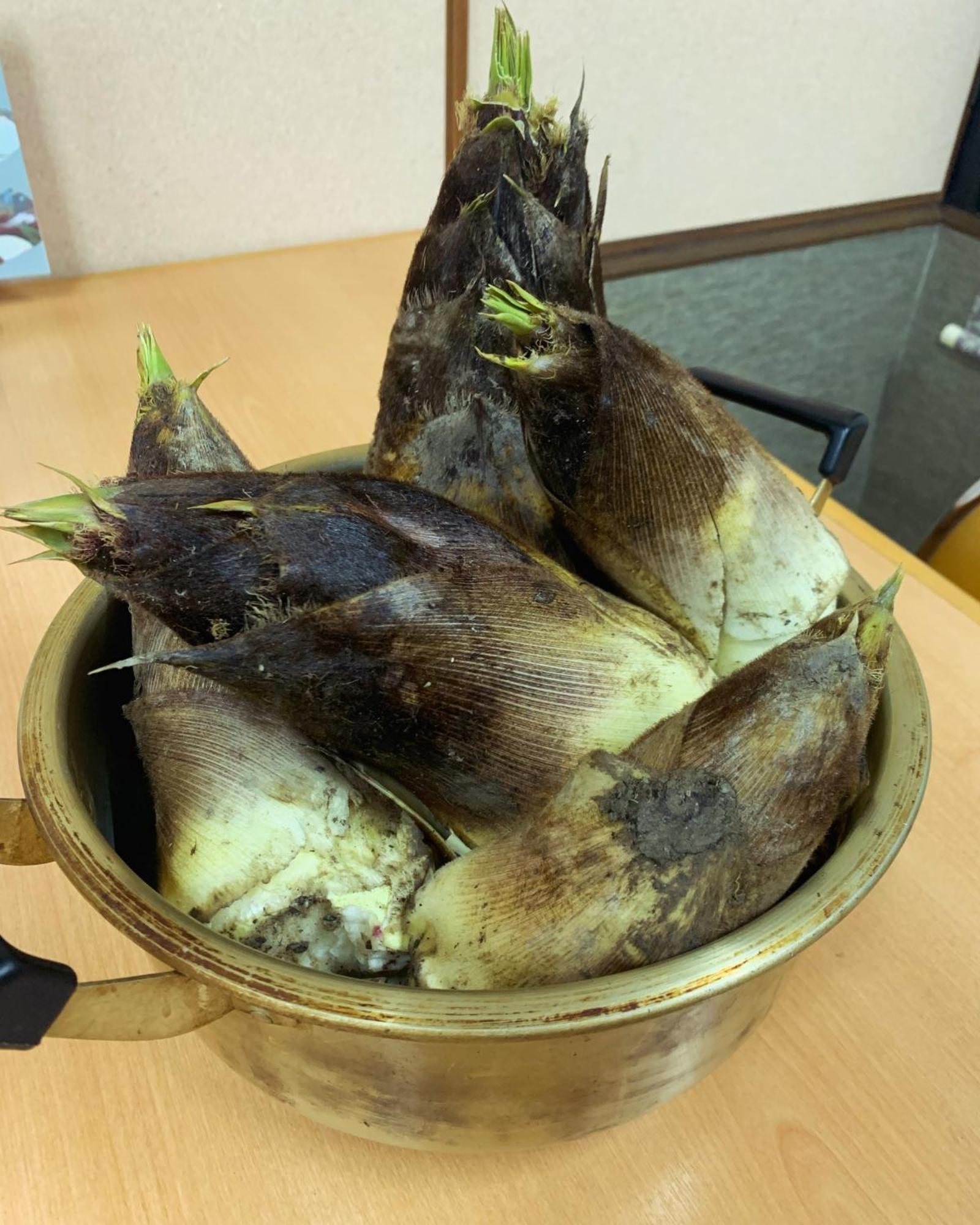 Iya Kankou Ryokan Миёси Экстерьер фото